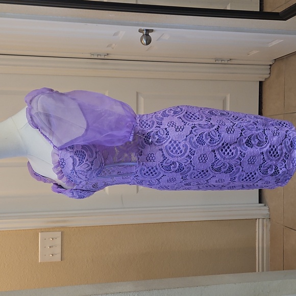 Purple Lace Sheer Corset Bodycon Mini Dress with Puff Sheer Short Sleeves - Picture 6 of 9